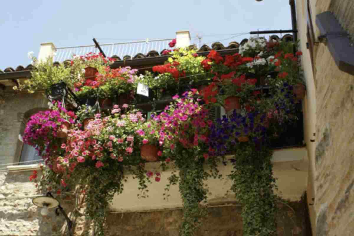 Scegliere una camelia significa anche cambiare approccio allo spazio esterno. Non è la classica pianta “da riempimento”, ma un elemento che definisce l’atmosfera